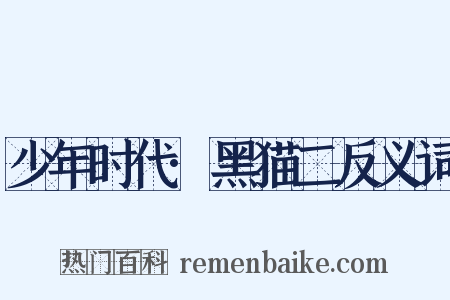 少年时代·黑猫二反义词是什么意思的图片